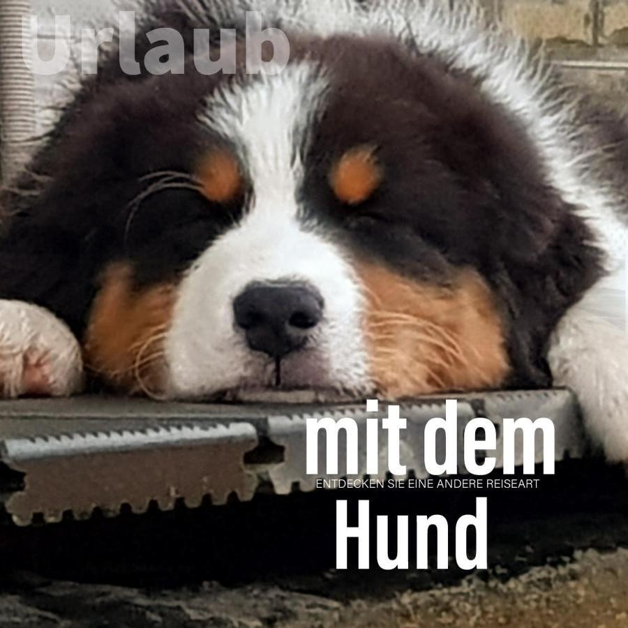 Der Seehof Heimbach Ngoại thất bức ảnh